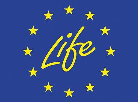Logo del Programma LIFE